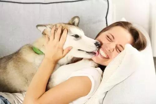 狗狗身上携带狂犬病毒会传染吗,狗狗身上有寄生虫会传染人吗
