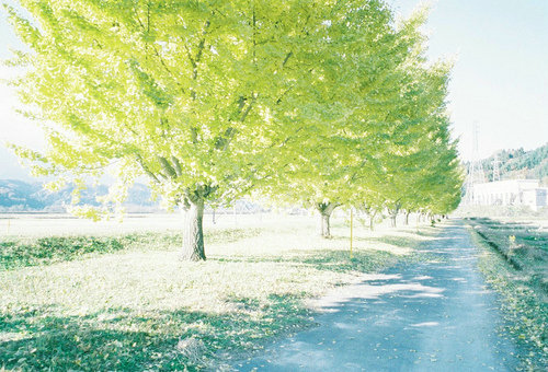 对你的思念就像风筝断了线的意思,爱像风筝断了线回不到从前