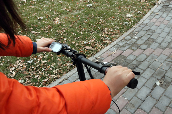 大鱼电动自行车推荐,大鱼智行车飞轮