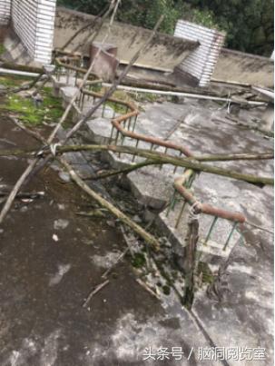 七大网红探索废弃恐怖精神病院,四川龙泉废弃精神病院