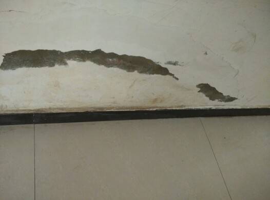 住在一楼潮湿和发霉,住一楼潮湿长霉最佳解决方法