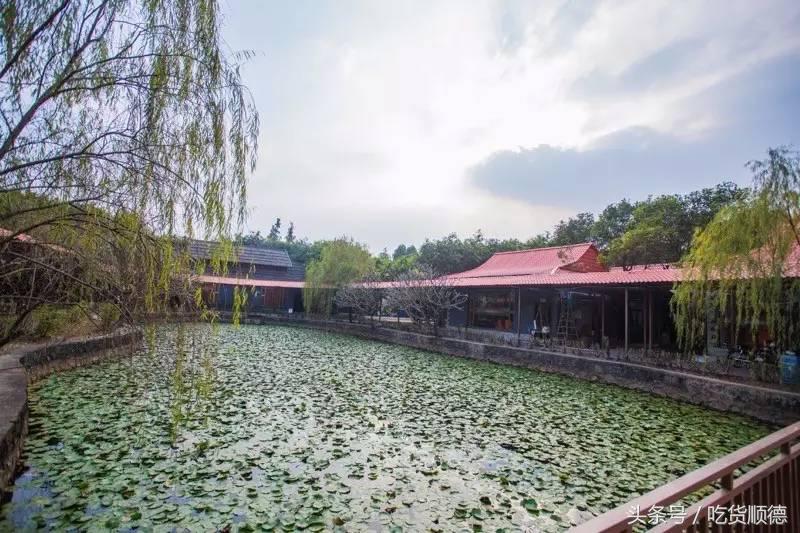 陪伴均安人十几年酒楼全面升级，全新创意茶点，大良都要过去饮茶