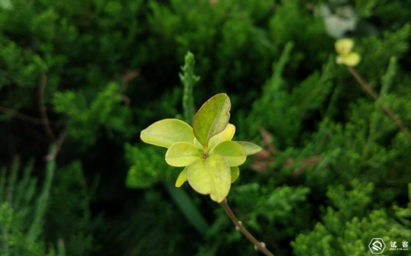 手机也能轻松拍出大片,手机也可以拍出复古的大片