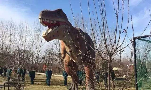 12月23号开幕啦！冰雪奇缘圣诞狂欢！中西合璧庙会美食啥都有