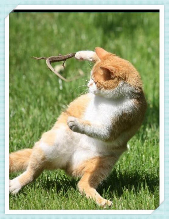 如果世界没有摩擦力世界会怎样,如果世界没有了摩擦力会怎么样