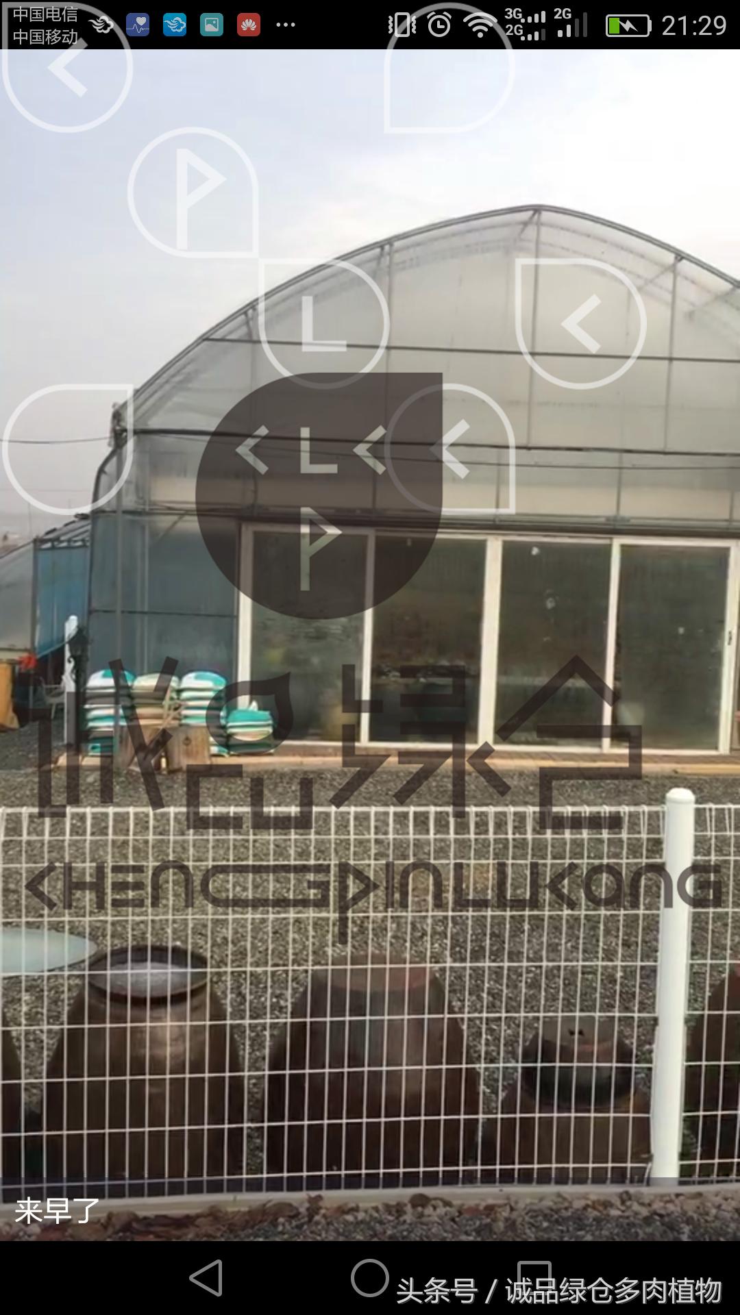 多肉植物大棚直播,密斯达多肉大棚视频