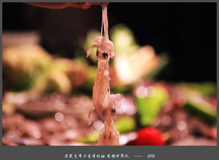 海鲜大排档视频实拍,全国最便宜的海鲜大排档在哪里