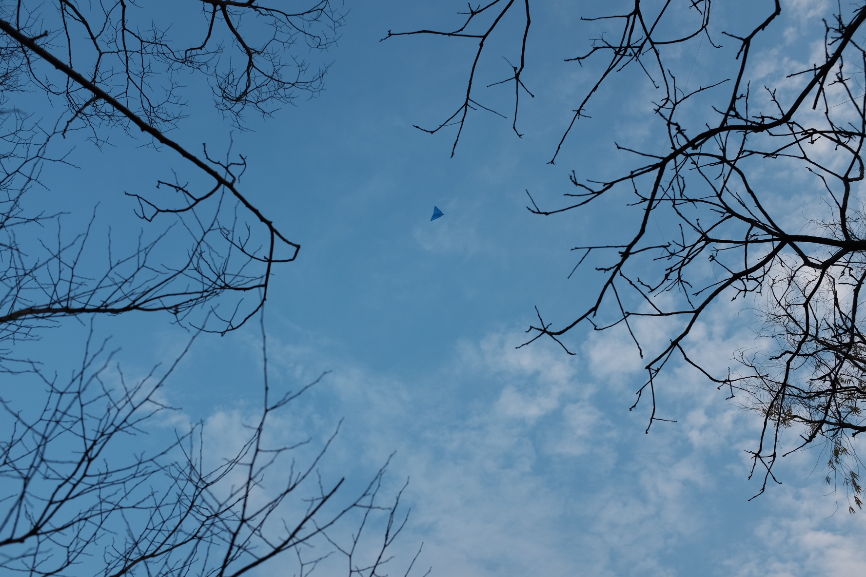 巧用日光白平衡，记录绚烂秋色