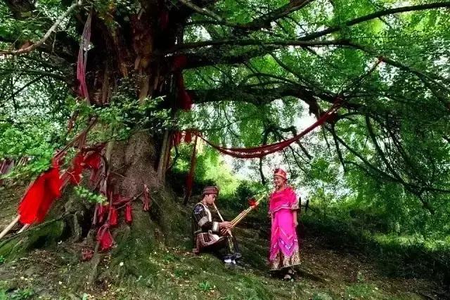 遵义是什么市的,遵义是一个什么地方