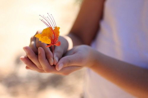 便秘的13种中医分型及食疗方案之七:肝经受寒,大肠失司