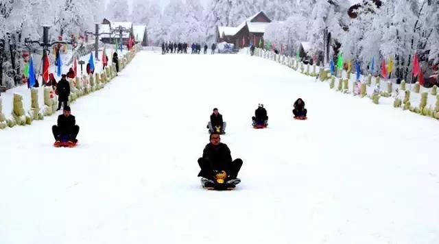 成都周边看雪滑雪的地方 (成都周边滑雪泡温泉好去处)