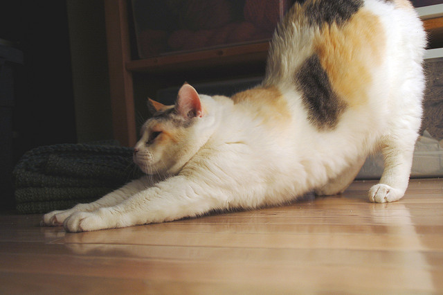 男人该如何选择正确的运动锻炼,男人应锻炼什么肌肉