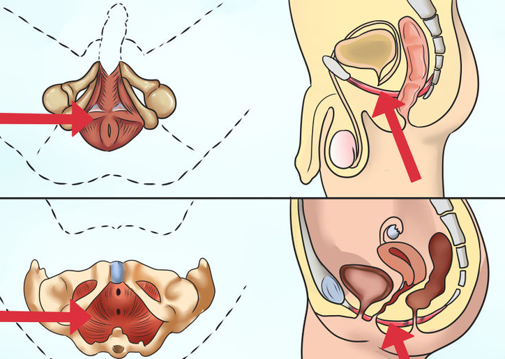 男人该如何选择正确的运动锻炼,男人应锻炼什么肌肉