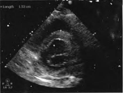 刘燕中西医结合,刘燕catherine