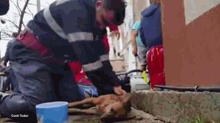 我的头盔百分百回头率!哥就这么自信!