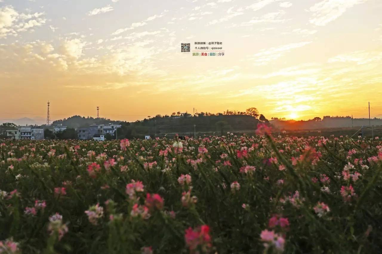 去连州有什么好玩的,清远连州旅游详细攻略