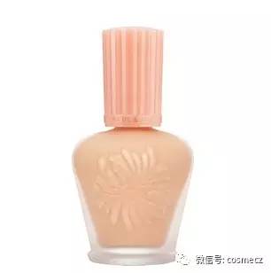 猫咪萌出天际,萌出天际的小动物