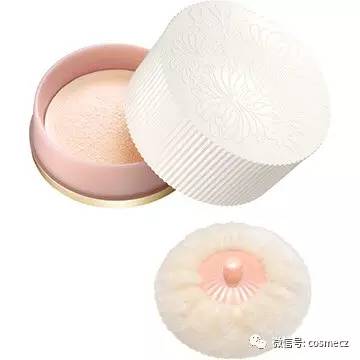 猫咪萌出天际,萌出天际的小动物