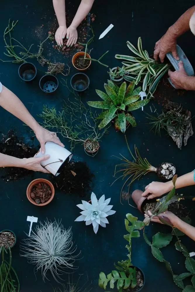 微观茶市丨平台交易或成新常态
