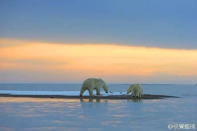 微观茶市丨平台交易或成新常态