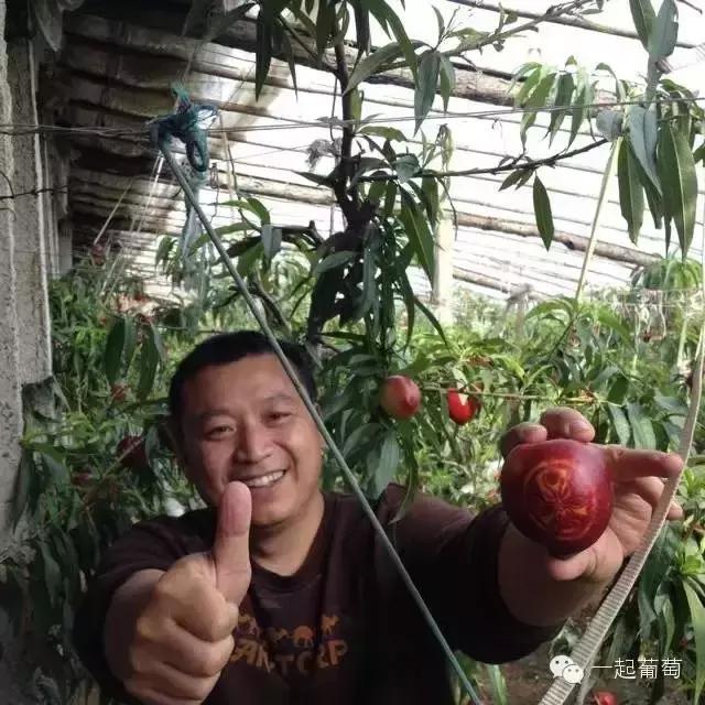 当扶贫遇上互联网,当统战工作遇上互联网