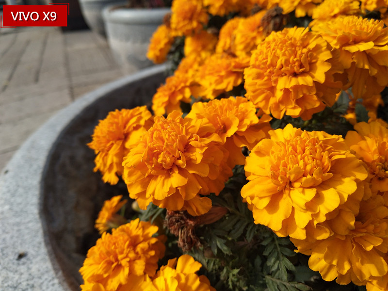 它有的不仅仅是双摄！vivoX9两周使用体验谈