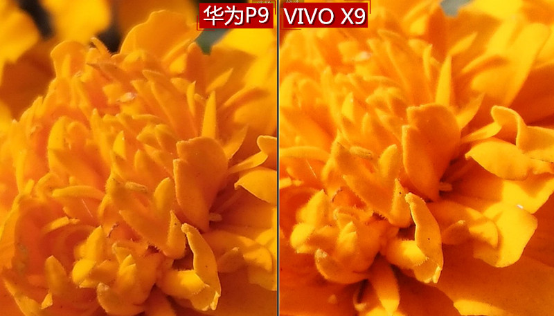 它有的不仅仅是双摄！vivoX9两周使用体验谈