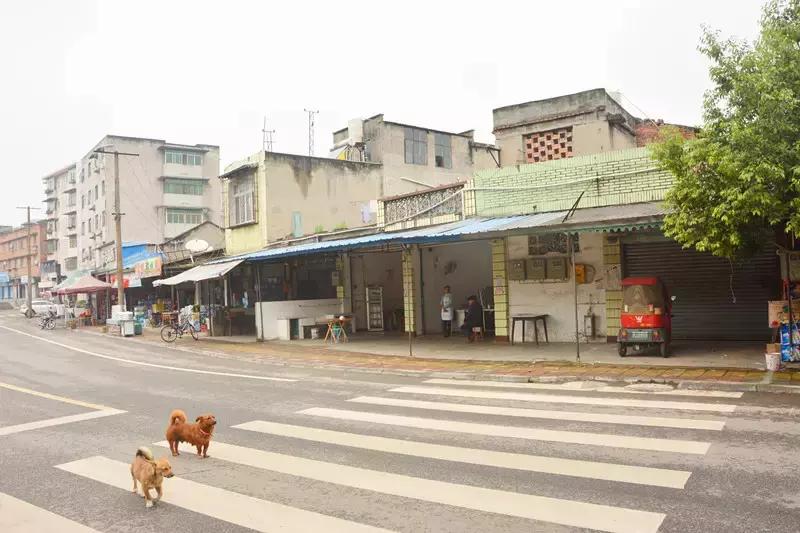 Hello！眉山车辆厂！只有东北人能看懂！