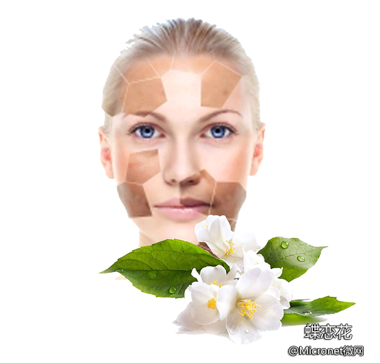 臻靓微蛋白蕾丝面膜,臻靓保湿隐形面膜