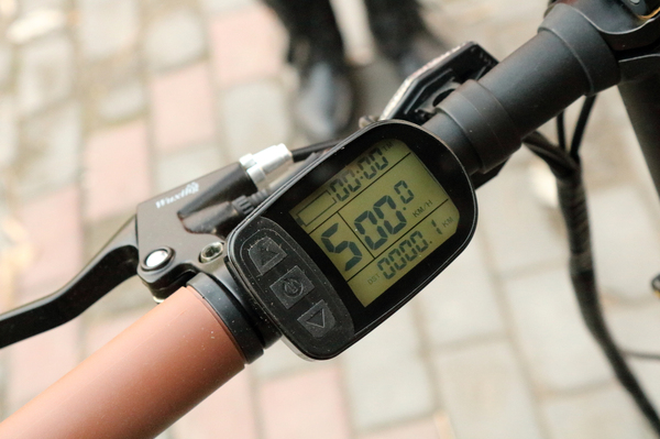 大鱼电动自行车推荐,大鱼智行车飞轮