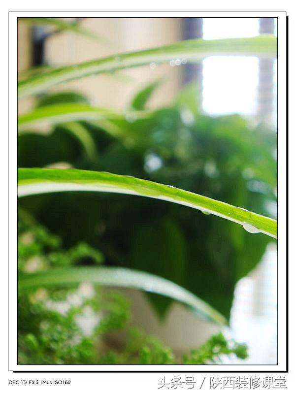 60平米改造三室一厅,8平米小户型蜗居改造