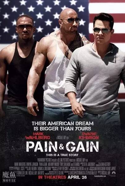 巨石强森演的以暴制暴电影,巨石强森演的灾难片