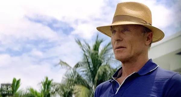 巨石强森演的以暴制暴电影,巨石强森演的灾难片