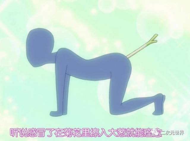 菊花加大葱治感冒吗,大葱插鼻子能治感冒