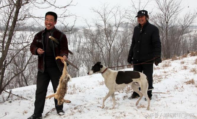 青年悦读年味,青年悦读图片