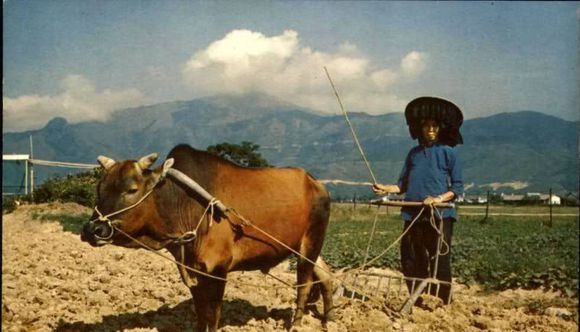 为何古暮居然挖出牛肉汤？三分钟让你明白古人都吃什么肉