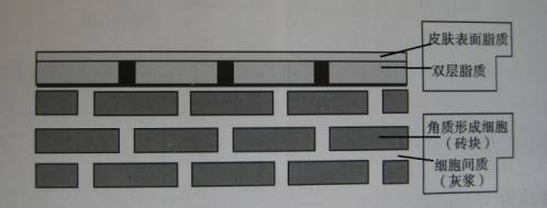 <html>
<head><title>502BadGateway</title></head>
<body>
<center><h1>502BadGateway</h1></center>
<hr><center>nginx</center>
</body>
</html>
<!--apaddingtodisableMSIEandChromefriendlyerrorpage-->
<!--apaddingtodisableMSIEandChromefriendlyerrorpage-->
<!--apaddingtodisableMSIEandChromefriendlyerrorpage-->
<!--apaddingtodisableMSIEandChromefriendlyerrorpage-->
<!--apaddingtodisableMSIEandChromefriendlyerrorpage-->
<!--apaddingtodisableMSIEandChromefriendlyerrorpage-->
