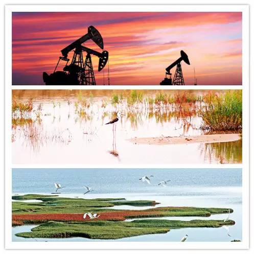 2023-2024年节假日安排时间表最新,2020年节假日大全一览表