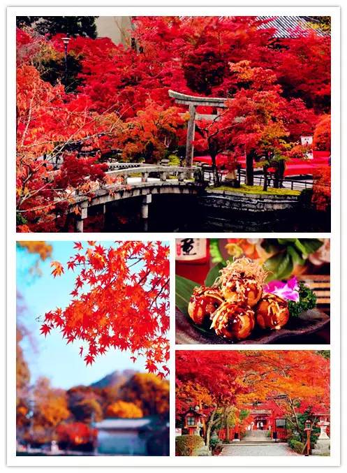 2023-2024年节假日安排时间表最新,2020年节假日大全一览表