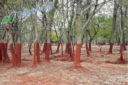 张家口新闻联播12月15日,张家口新闻报道频道
