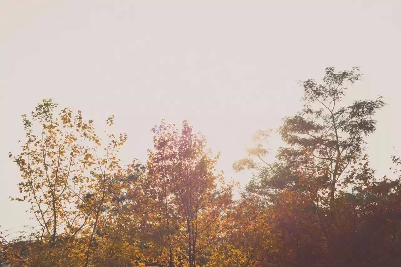 这几天千万不要来北师珠!