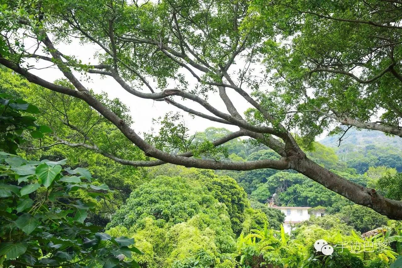 香港最全游玩路线推荐图,香港旅游全攻略地图