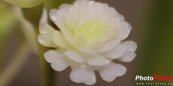 松下口袋相机lx10,松下lumixlx10长焦