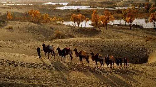 郑州旅游年卡2023怎么办理,郑州旅游年卡在哪里办