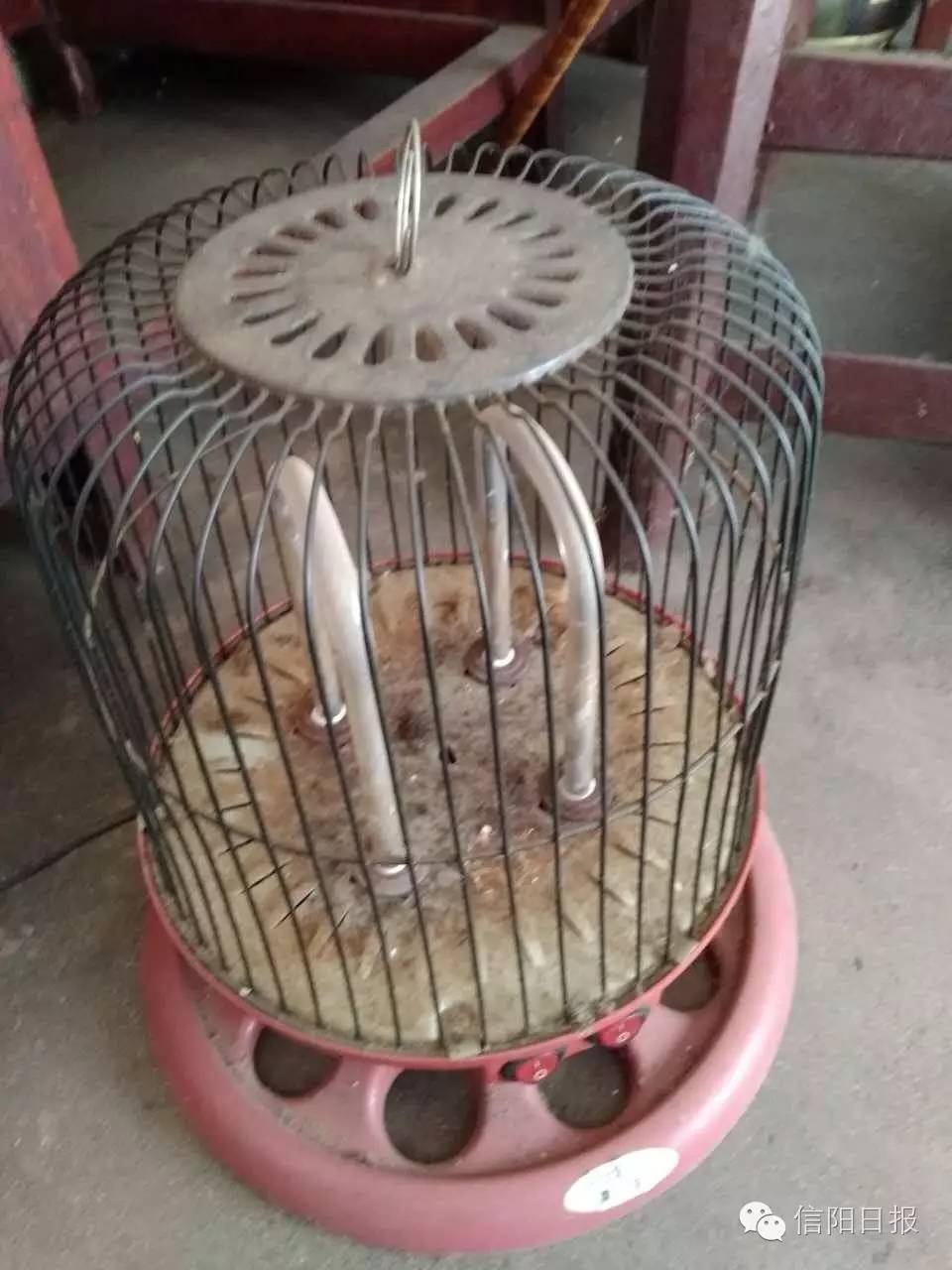 「关注」追忆许光(三):闪闪红星传万代——这位老人给自己定下了“*不五**”原则