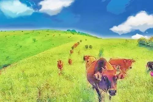 穿越时光的美丽瞬间,竹溪最美风景图