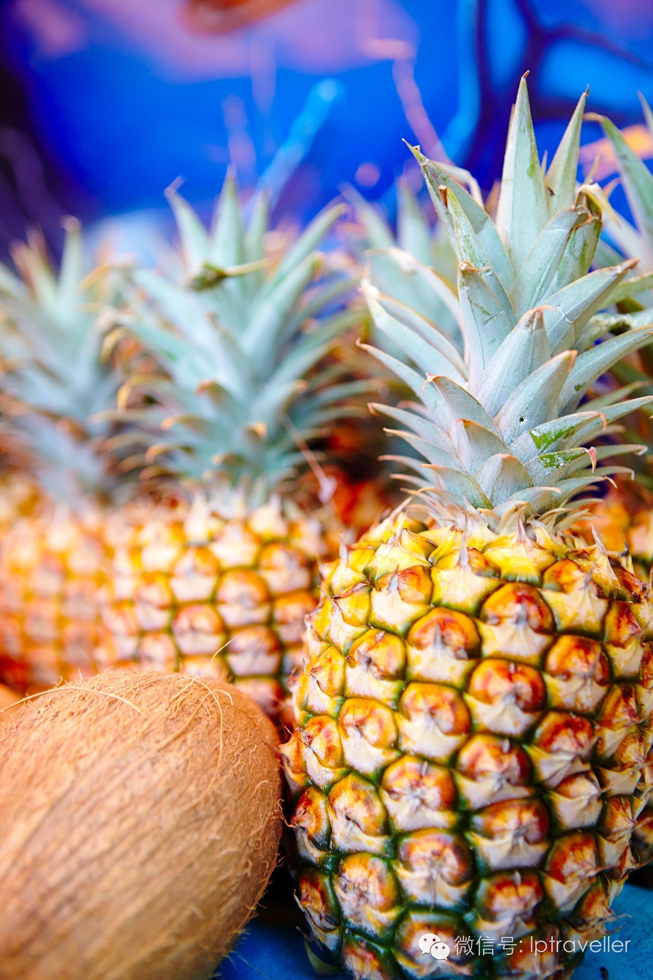 星球坐标｜夏威夷：发现惊喜之地2017这样玩转Aloha之夜