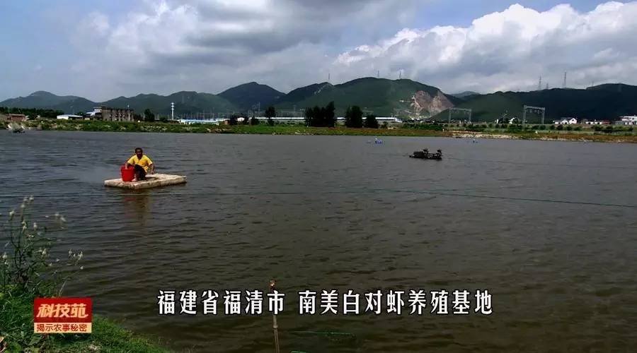 如何区分水产品是否加孔雀石绿,孔雀石绿在水产养殖中的应用