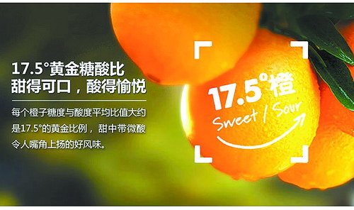 世界橙乡秭归,世界橙乡