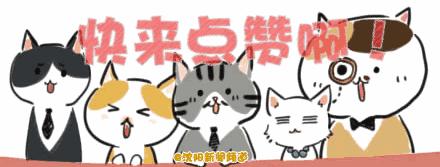 高端餐具品牌直播,张强餐具品牌